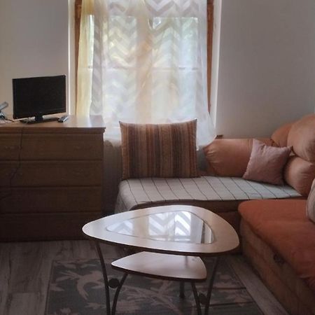 Apartament Pod Zamkiem Olsztyn  Ngoại thất bức ảnh