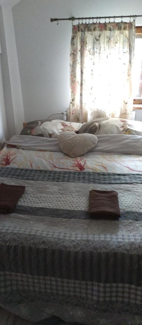 Apartament Pod Zamkiem Olsztyn  Ngoại thất bức ảnh